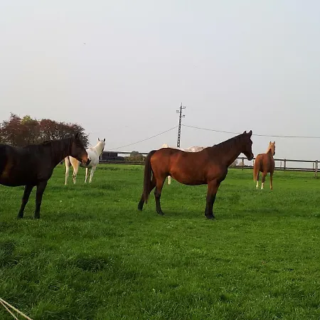 منزل ريفي Escale De Brionsart Gesves